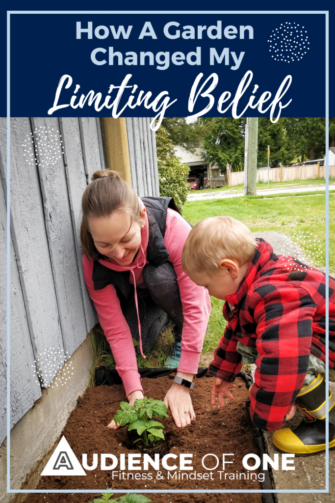 How a Garden Changed my limiting belief